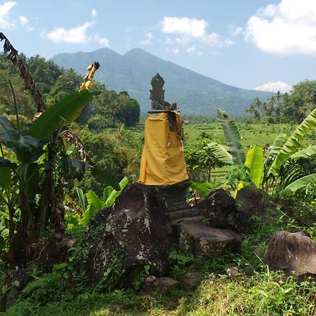 Alamku Bungalow Karangasem Buitenkant foto
