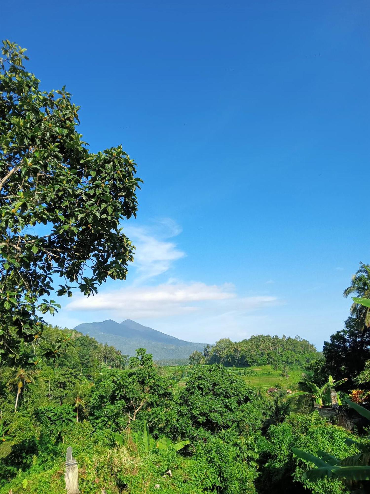 Alamku Bungalow Karangasem Buitenkant foto