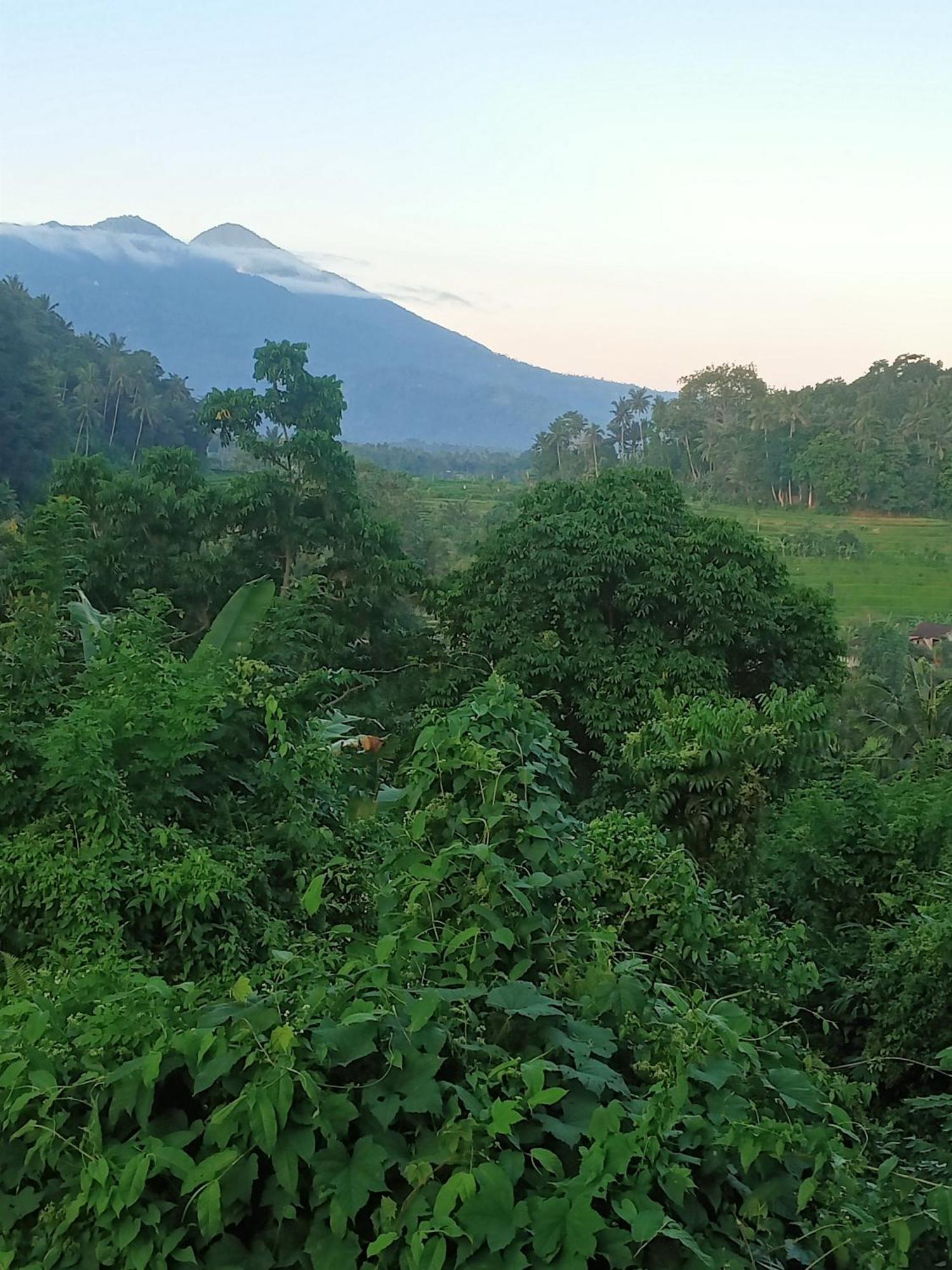 Alamku Bungalow Karangasem Buitenkant foto