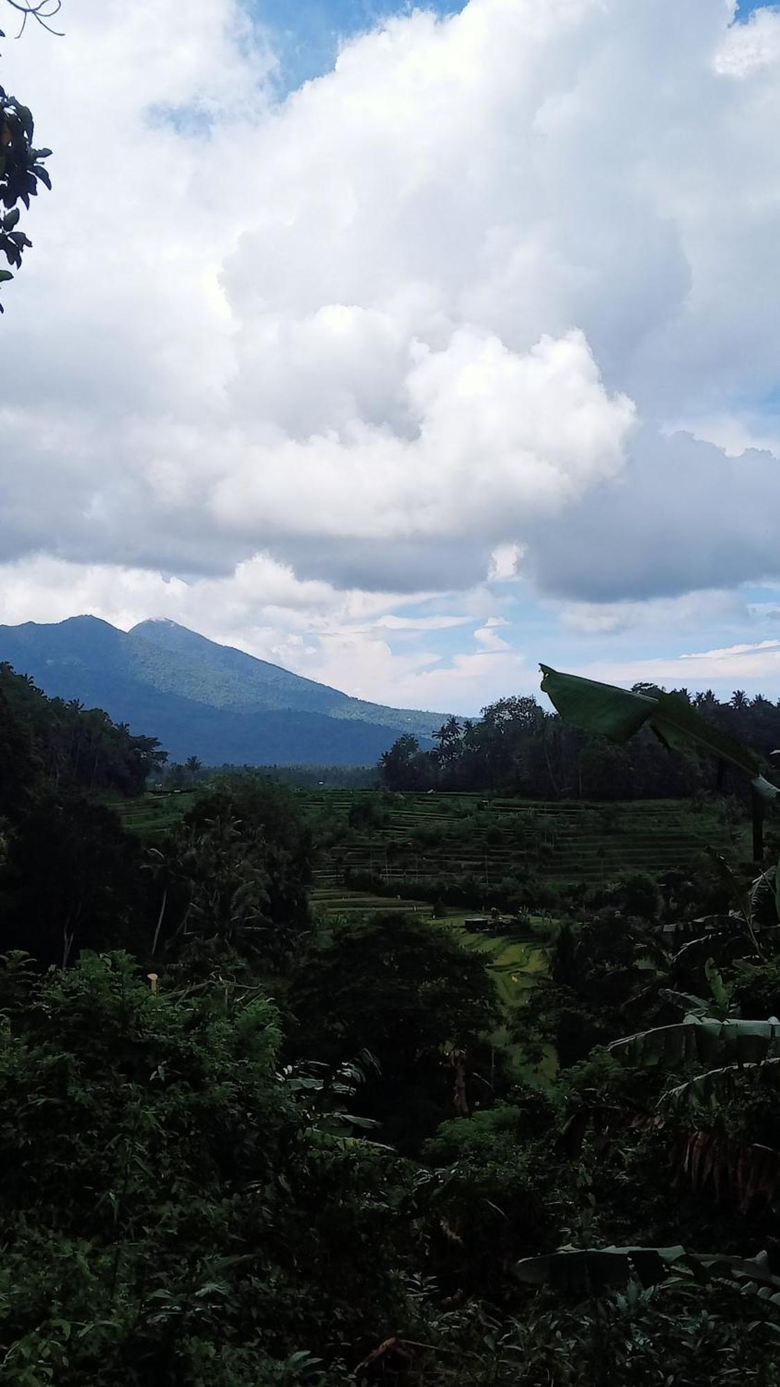Alamku Bungalow Karangasem Buitenkant foto